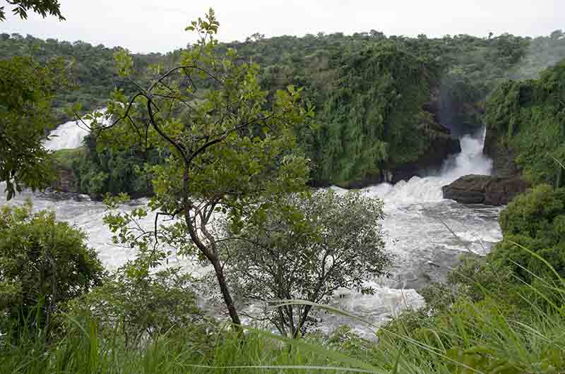 18 - Uganda - parque nacional de las cataratas Murchison - cataratas Murchison